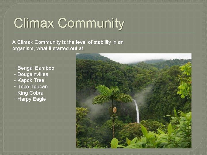 Climax Community A Climax Community is the level of stability in an organism, what