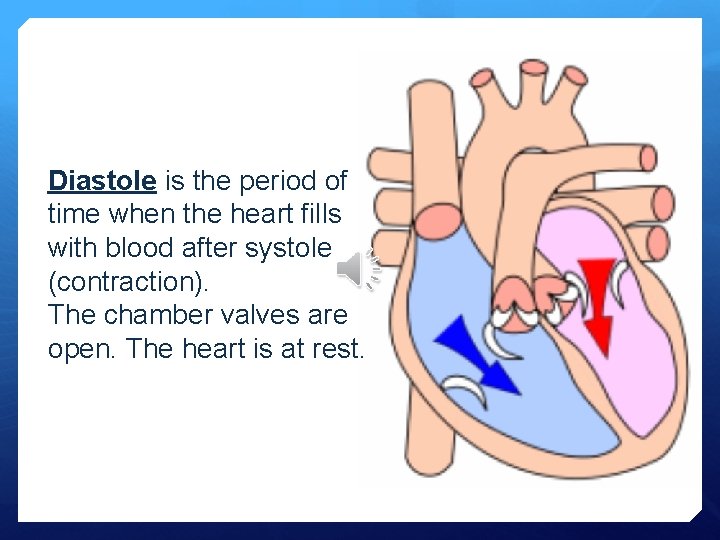Diastole is the period of time when the heart fills with blood after systole