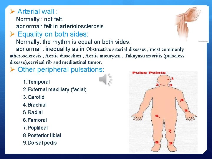 Ø Arterial wall : Normally : not felt. abnormal: felt in arteriolosclerosis. Ø Equality