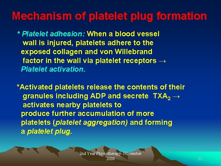 Mechanism of platelet plug formation * Platelet adhesion: When a blood vessel wall is