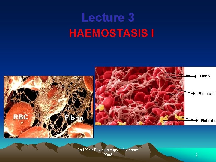 Lecture 3 HAEMOSTASIS I 2 nd Year Physiotherapy- November 2008 2 