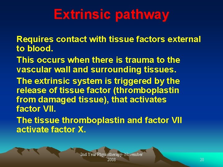 Extrinsic pathway Requires contact with tissue factors external to blood. This occurs when there