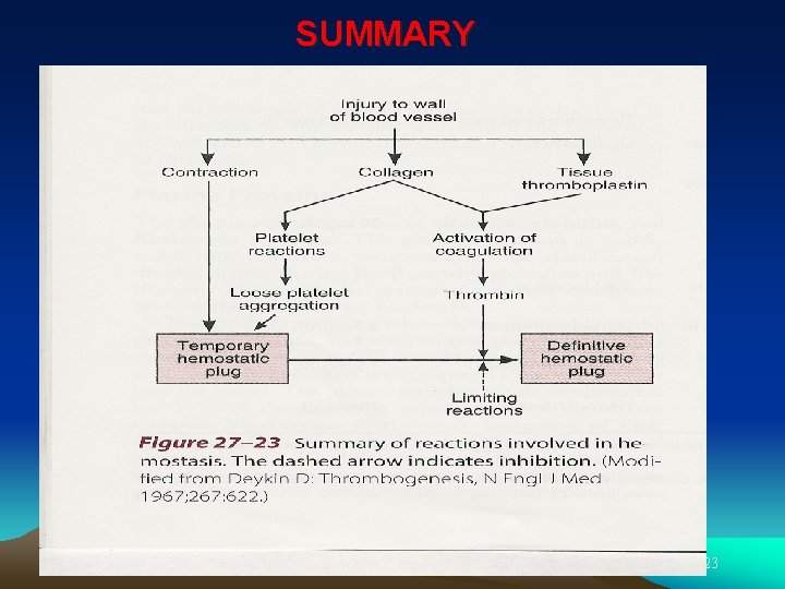SUMMARY 2 nd Year Physiotherapy- November 2008 23 