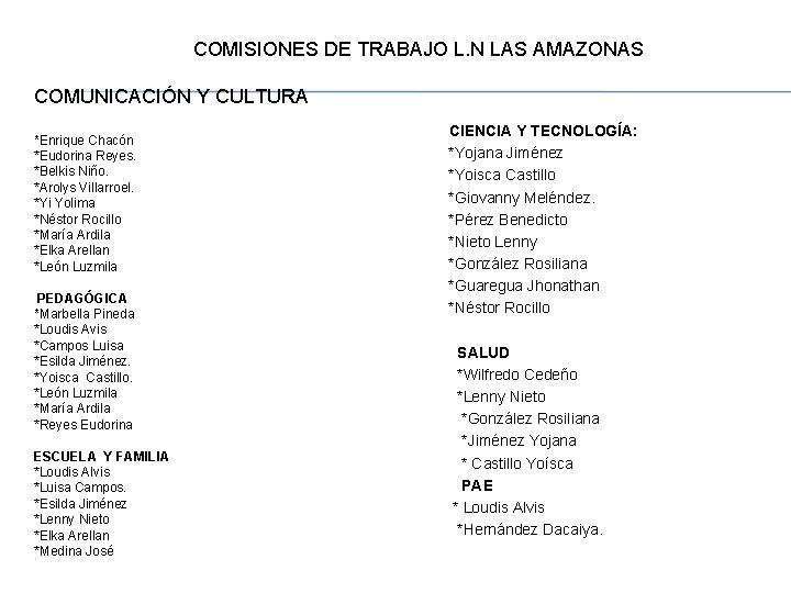  COMISIONES DE TRABAJO L. N LAS AMAZONAS COMUNICACIÓN Y CULTURA *Enrique Chacón *Eudorina