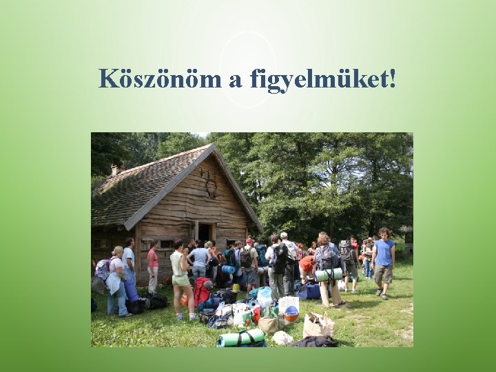 Köszönöm a figyelmüket! 