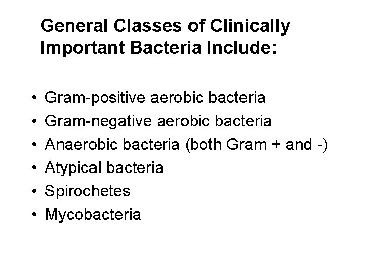 General Classes of Clinically Important Bacteria Include: • • • Gram-positive aerobic bacteria Gram-negative