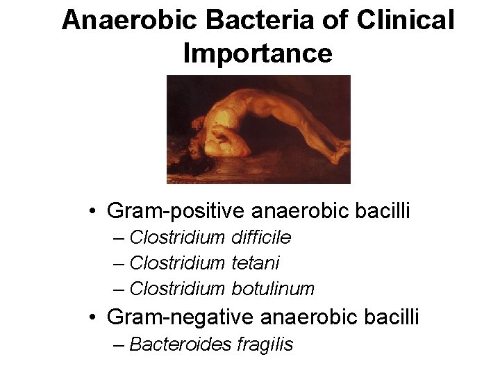 Anaerobic Bacteria of Clinical Importance • Gram-positive anaerobic bacilli – Clostridium difficile – Clostridium