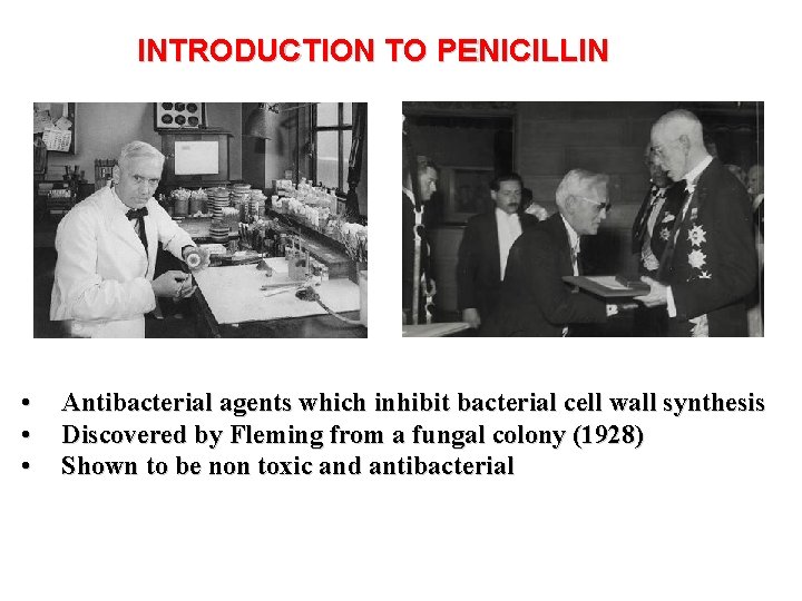 INTRODUCTION TO PENICILLIN • • • Antibacterial agents which inhibit bacterial cell wall synthesis