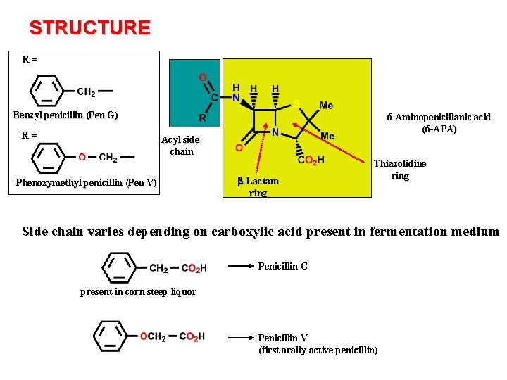 STRUCTURE R= Benzyl penicillin (Pen G) R= 6 -Aminopenicillanic acid (6 -APA) Acyl side