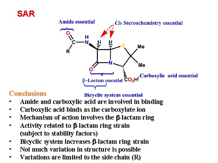SAR Conclusions • • Amide and carboxylic acid are involved in binding Carboxylic acid