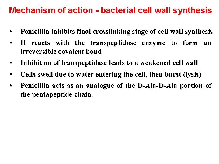 Mechanism of action - bacterial cell wall synthesis • • Penicillin inhibits final crosslinking