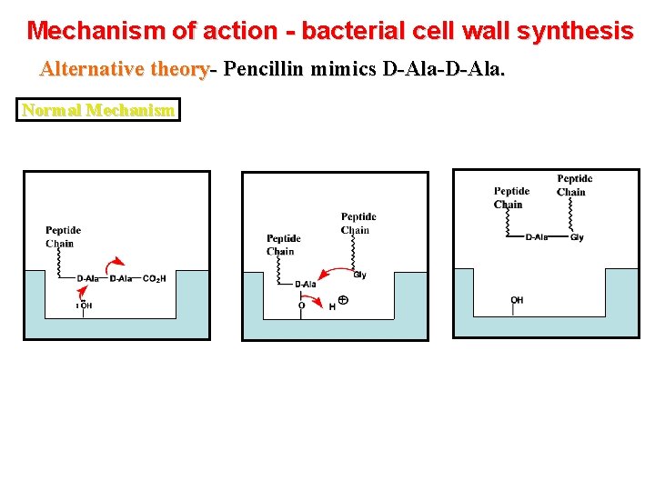 Mechanism of action - bacterial cell wall synthesis Alternative theory- Pencillin mimics D-Ala-D-Ala. Normal