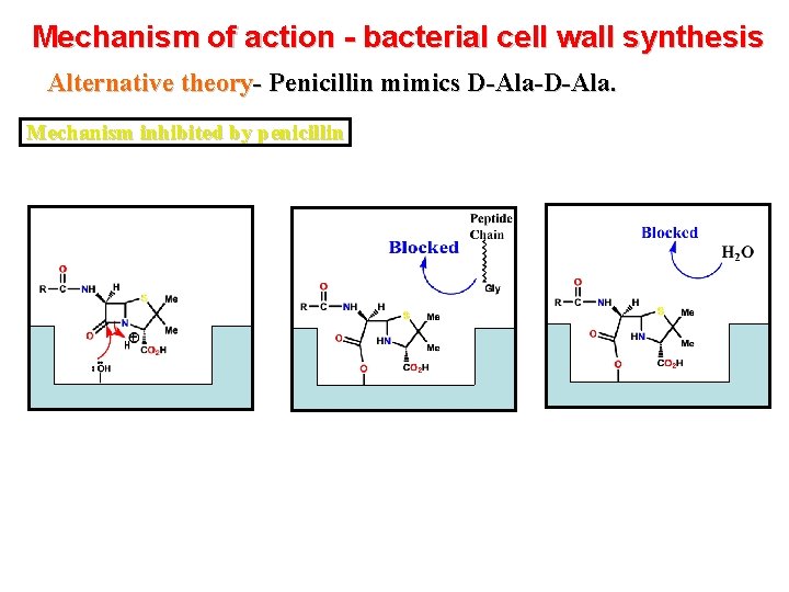 Mechanism of action - bacterial cell wall synthesis Alternative theory- Penicillin mimics D-Ala-D-Ala. Mechanism