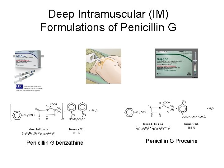 Deep Intramuscular (IM) Formulations of Penicillin G benzathine Penicillin G Procaine 