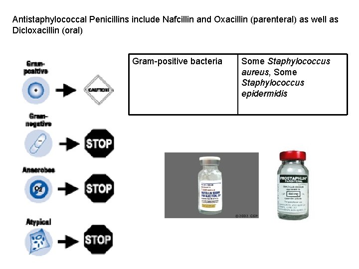 Antistaphylococcal Penicillins include Nafcillin and Oxacillin (parenteral) as well as Dicloxacillin (oral) Gram-positive bacteria