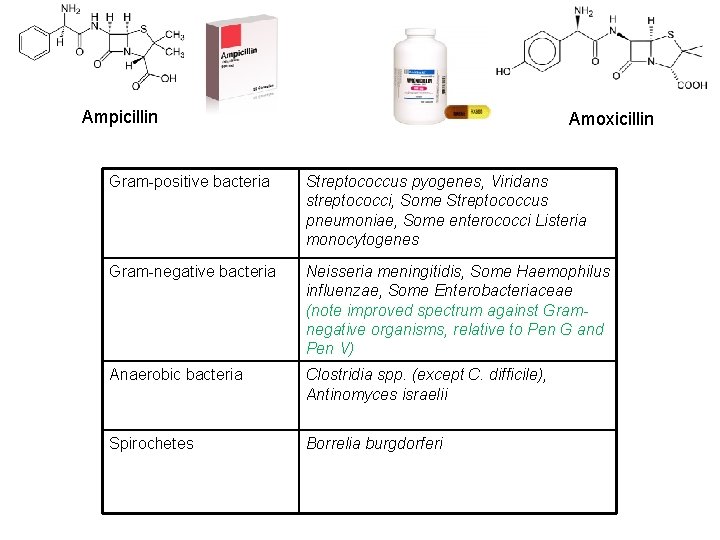 Ampicillin Amoxicillin Gram-positive bacteria Streptococcus pyogenes, Viridans streptococci, Some Streptococcus pneumoniae, Some enterococci Listeria