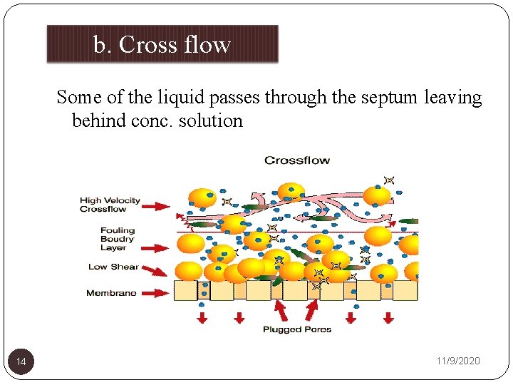 b. Cross flow Filtration Some of the liquid passes through the septum leaving behind