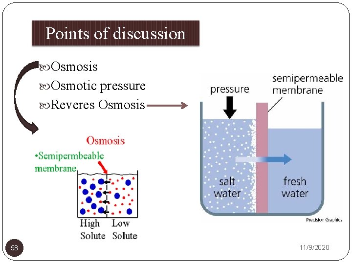 Points of discussion Osmosis Osmotic pressure Reveres Osmosis 58 11/9/2020 