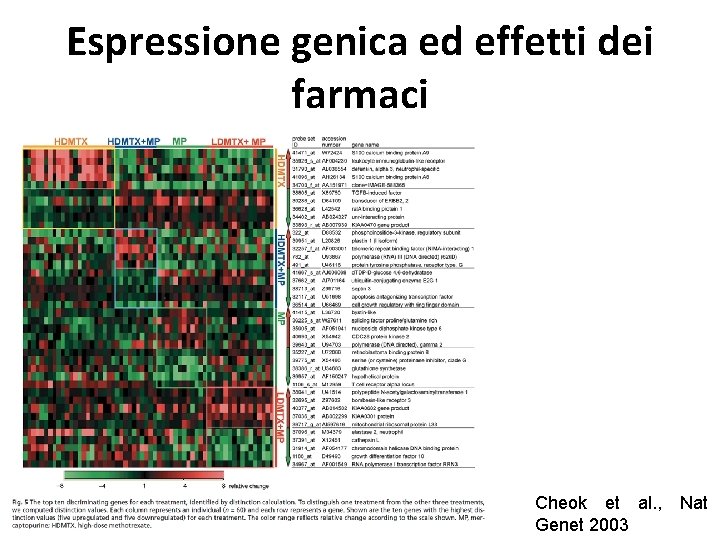 Espressione genica ed effetti dei farmaci Cheok et al. , Nat Genet 2003 