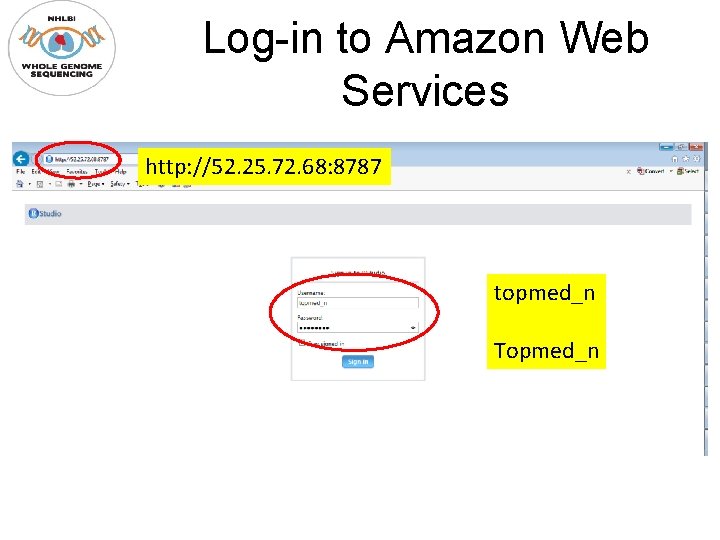 Log-in to Amazon Web Services http: //52. 25. 72. 68: 8787 topmed_n Topmed_n 