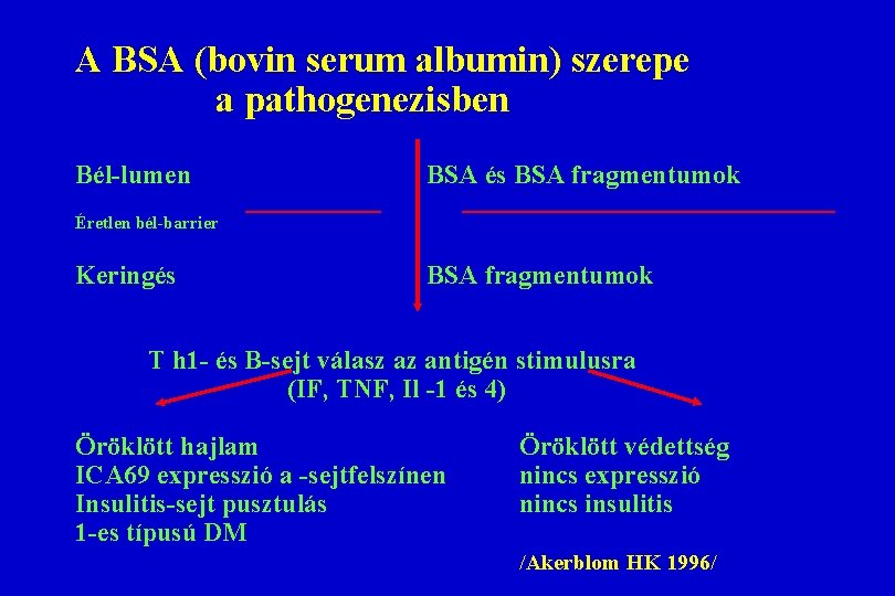 A BSA (bovin serum albumin) szerepe a pathogenezisben Bél-lumen BSA és BSA fragmentumok Éretlen A BSA (bovin serum albumin) szerepe a pathogenezisben Bél-lumen BSA és BSA fragmentumok Éretlen