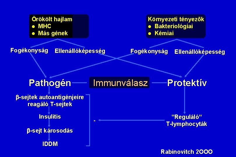 Örökölt hajlam l MHC l Más gének Fogékonyság Környezeti tényezõk l Bakteriológiai l Kémiai Örökölt hajlam l MHC l Más gének Fogékonyság Környezeti tényezõk l Bakteriológiai l Kémiai