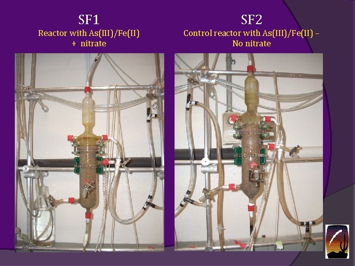 SF 1 SF 2 Reactor with As(III)/Fe(II) + nitrate Control reactor with As(III)/Fe(II) –