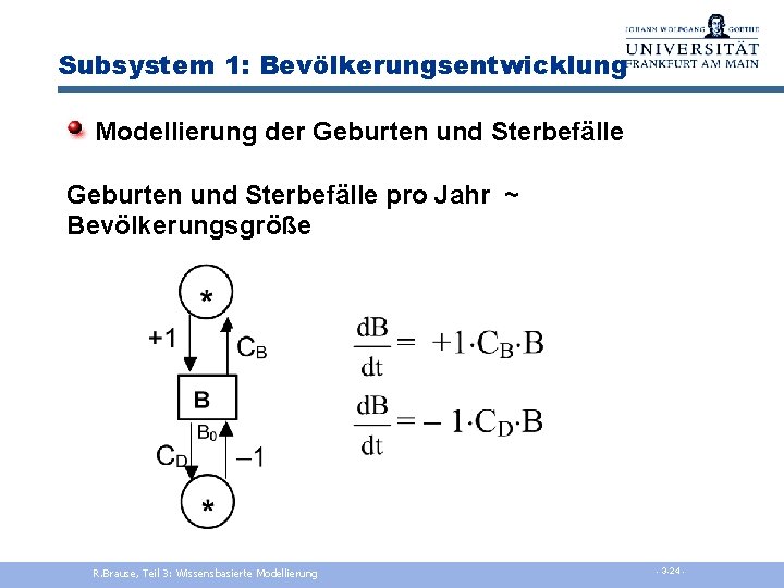 Subsystem 1: Bevölkerungsentwicklung Modellierung der Geburten und Sterbefälle pro Jahr ~ Bevölkerungsgröße R. Brause,