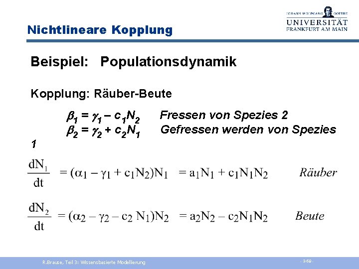 Nichtlineare Kopplung Beispiel: Populationsdynamik Kopplung: Räuber-Beute 1 b 1 = g 1 – c