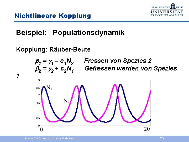 Nichtlineare Kopplung Beispiel: Populationsdynamik Kopplung: Räuber-Beute 1 b 1 = g 1 – c