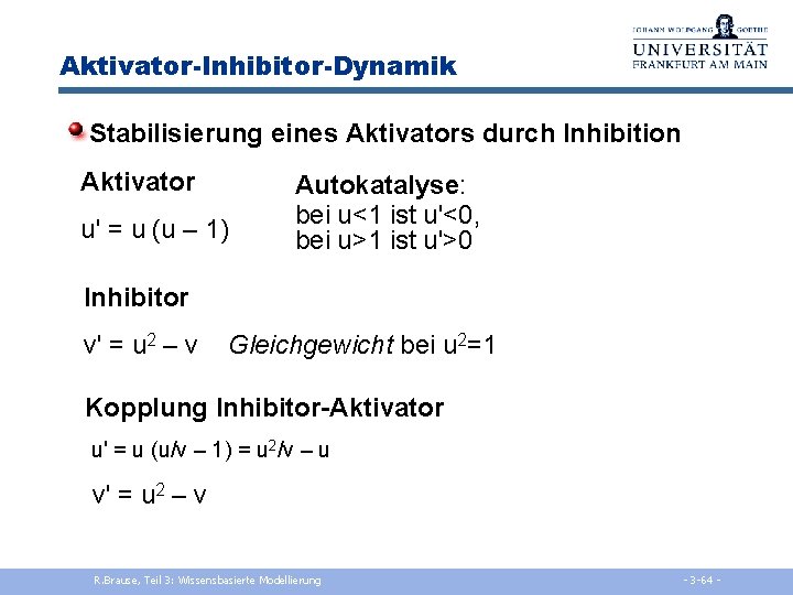 Aktivator-Inhibitor-Dynamik Stabilisierung eines Aktivators durch Inhibition Aktivator u' = u (u – 1) Autokatalyse: