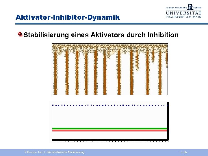 Aktivator-Inhibitor-Dynamik Stabilisierung eines Aktivators durch Inhibition R. Brause, Teil 3: Wissensbasierte Modellierung - 3