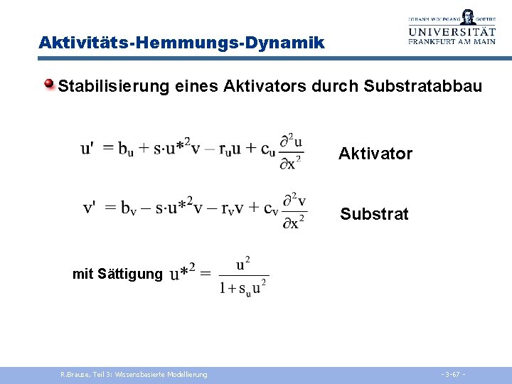 Aktivitäts-Hemmungs-Dynamik Stabilisierung eines Aktivators durch Substratabbau Aktivator Substrat mit Sättigung R. Brause, Teil 3: