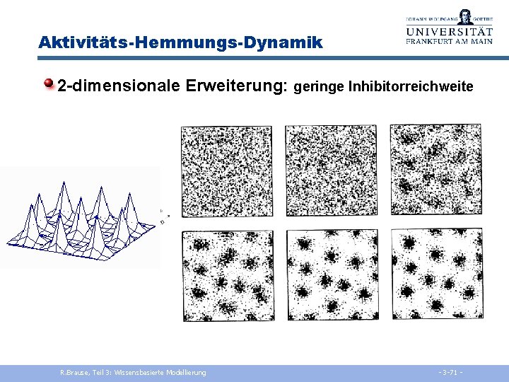 Aktivitäts-Hemmungs-Dynamik 2 -dimensionale Erweiterung: geringe Inhibitorreichweite R. Brause, Teil 3: Wissensbasierte Modellierung - 3