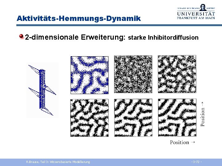 Aktivitäts-Hemmungs-Dynamik 2 -dimensionale Erweiterung: starke Inhibitordiffusion R. Brause, Teil 3: Wissensbasierte Modellierung - 3