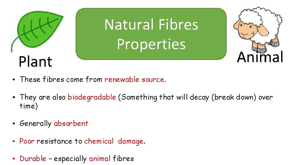 Plant Natural Fibres Properties Animal • These fibres come from renewable source. • They