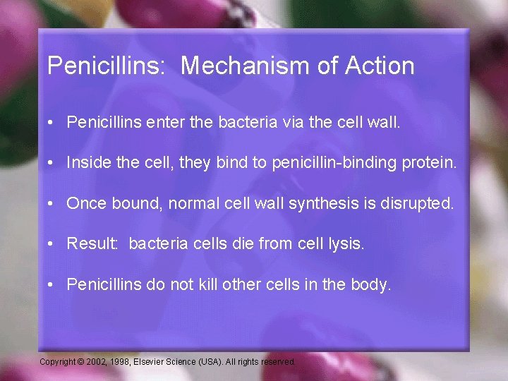 Penicillins: Mechanism of Action • Penicillins enter the bacteria via the cell wall. •