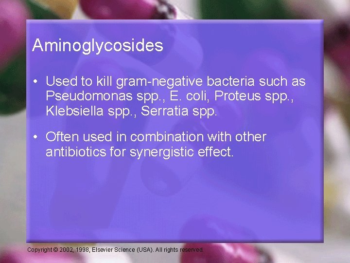 Aminoglycosides • Used to kill gram-negative bacteria such as Pseudomonas spp. , E. coli,