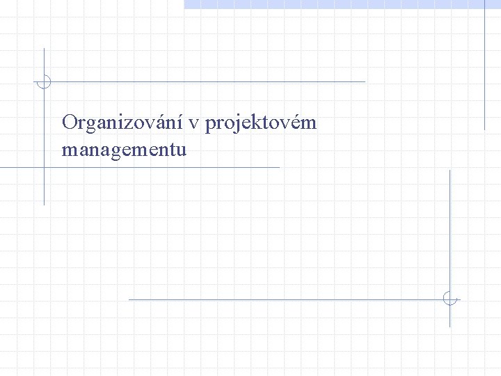Organizování v projektovém managementu 