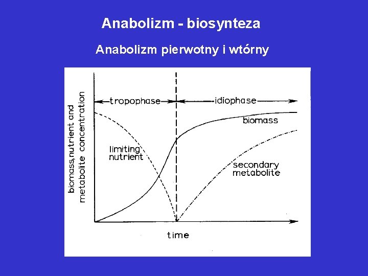 Anabolizm - biosynteza Anabolizm pierwotny i wtórny 