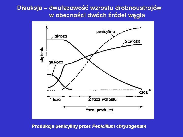 Diauksja – dwufazowość wzrostu drobnoustrojów w obecności dwóch źródeł węgla Produkcja penicyliny przez Penicillum