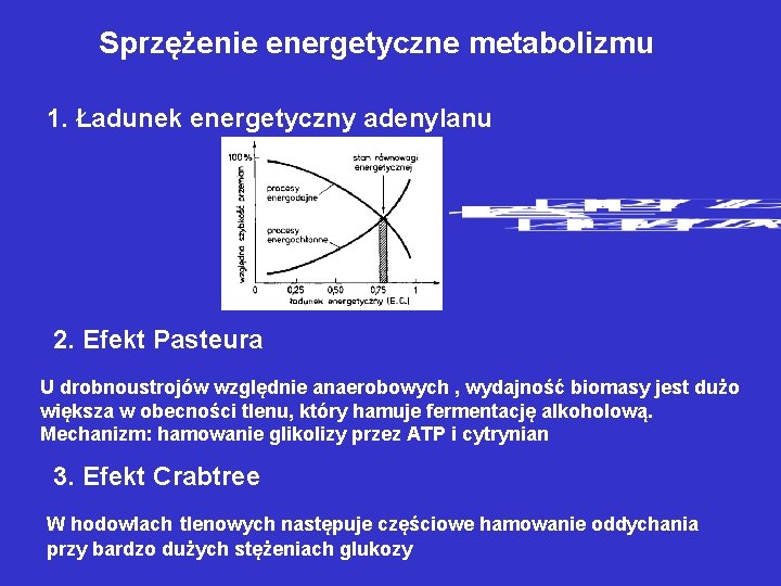 Sprzężenie energetyczne metabolizmu 1. Ładunek energetyczny adenylanu 2. Efekt Pasteura U drobnoustrojów względnie anaerobowych