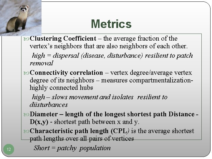 Metrics Clustering Coefficient – the average fraction of the 12 vertex’s neighbors that are