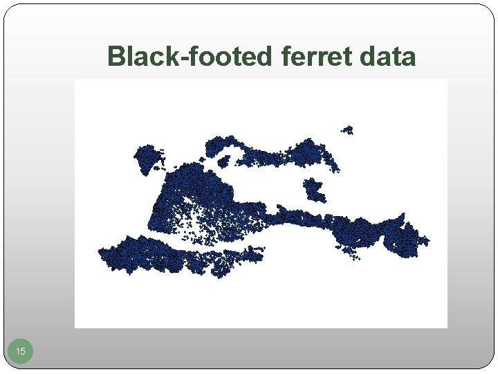 Black-footed ferret data 15 