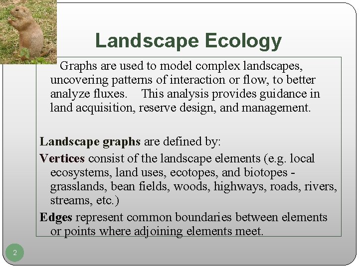 Landscape Ecology Graphs are used to model complex landscapes, uncovering patterns of interaction or
