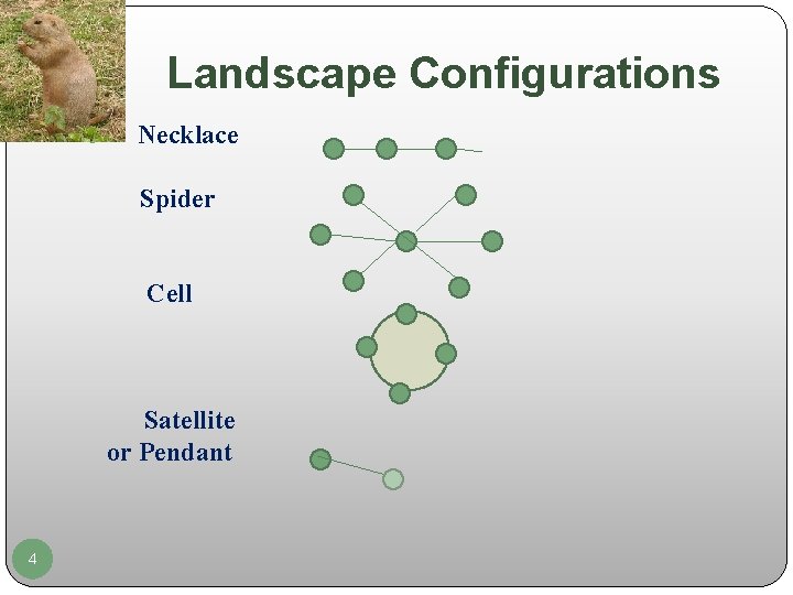 Landscape Configurations Necklace Spider Cell Satellite or Pendant 4 