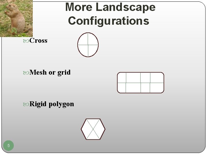 More Landscape Configurations Cross Mesh or grid Rigid polygon 5 