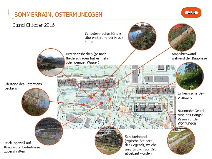 SOMMERRAIN, OSTERMUNDIGEN Stand Oktober 2016 Biodiversität bei Losinger Marazzi 22 