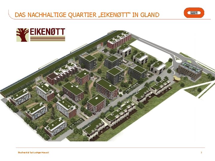 DAS NACHHALTIGE QUARTIER „EIKENØTT“ IN GLAND Biodiversität bei Losinger Marazzi 3 