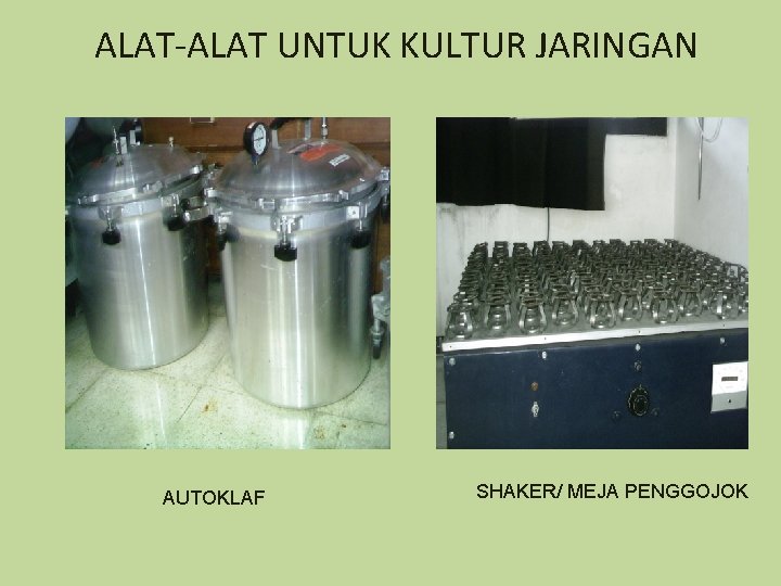 ALAT-ALAT UNTUK KULTUR JARINGAN AUTOKLAF SHAKER/ MEJA PENGGOJOK 